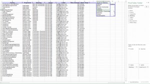 Pivottabelle nicht korrekt